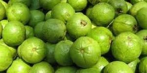 Fresh Guava
