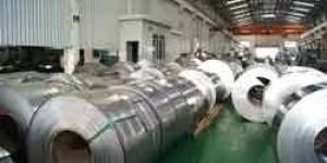 Stainless Steel Strips