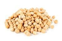 Chickpeas Seed
