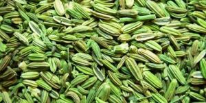 Fennel Seed