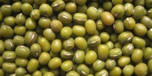 Mung Bean