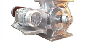 Rotary Airlock Valve