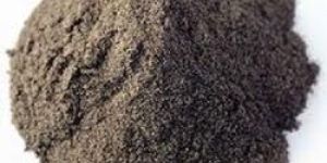 Black Pepper Powder, Spices