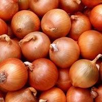 Fresh Red Onion