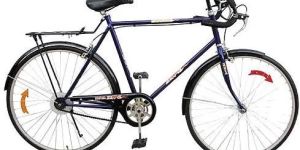 Adult Bicycle