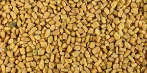 Fenugreek Seeds