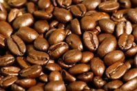 Coffee Bean