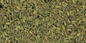 Fennel Seeds