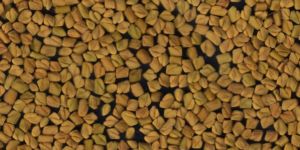 Fenugreek Seeds
