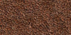 Flax Seeds