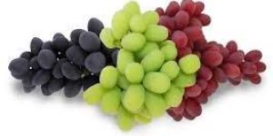 Fresh Grapes