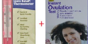 Mercury Free Basal Body Thermometer