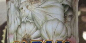 Garlic Pickles