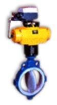 Butterfly Control Valve