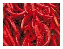 Fresh Red Chilli