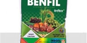 Benfil