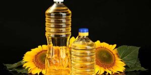 Sunflower Oil