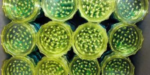 Herb Crusing Grinder