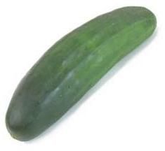 Fresh Cucumber