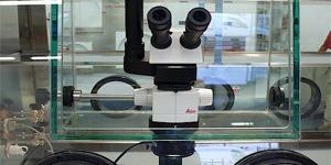 Glove Box with Microscope