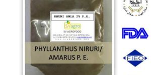 Bhumi Amla Extract