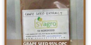 Grape Seed Extract