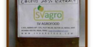 High Quality Coleus Forskohlii Extract