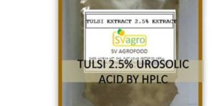 Ocimum Sanctum Extract