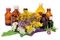 Yeast Infections Herbal Remedies