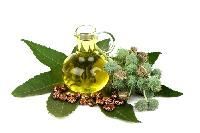 Castor Seed Oil