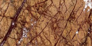 Rainforest Gold Marble Stone