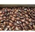 Castor Seeds