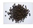 Black Paper Extract