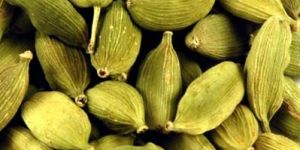 Cardamom