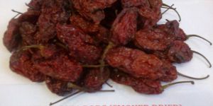 Bhut Jolokia Pods Smoke Dried