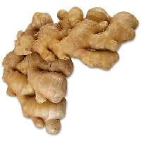 Organic Ginger