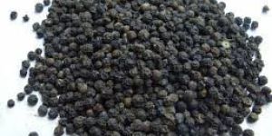 Black Pepper Seeds