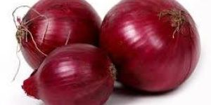 Fresh Red Onion