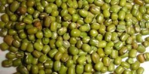 Green Moong Beans