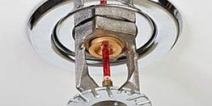 Automatic Water Sprinkler System