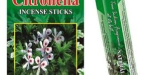 Citronella Incense Sticks