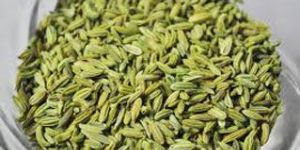 Fennel Seeds