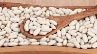 White Kidney Bean