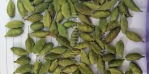 Green Cardamom