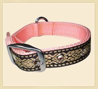 Dog Collars