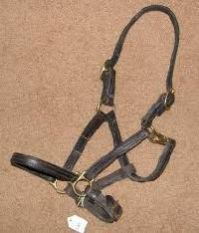 Leather Halters