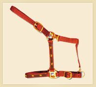 Nylon Halters