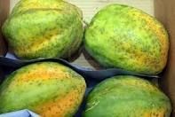 Fresh Papaya