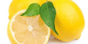 Fresh Lemon