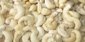 Cashew Nut